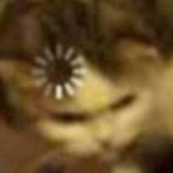 seanpatrickf9